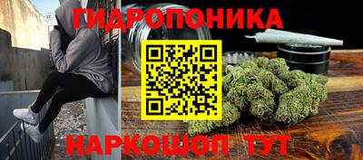 молекула духа Жуковский