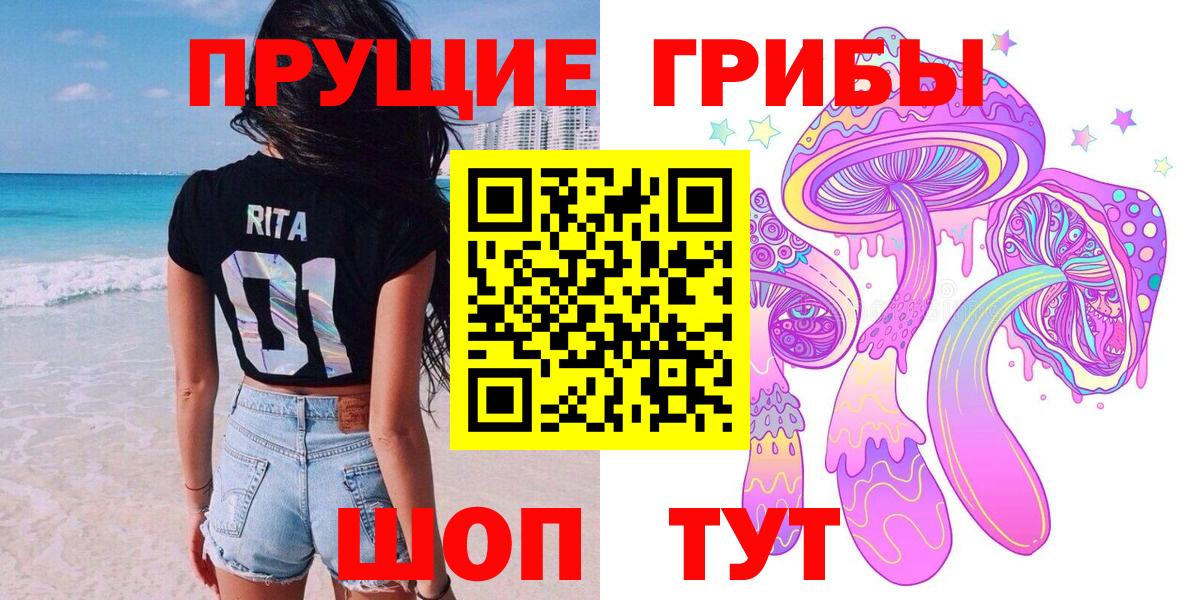 Майкоп  Псилоцибиновые грибы Psilocybe  закладка  Вход с VPN  Галлюциногенные грибы Psilocybine cubensis 